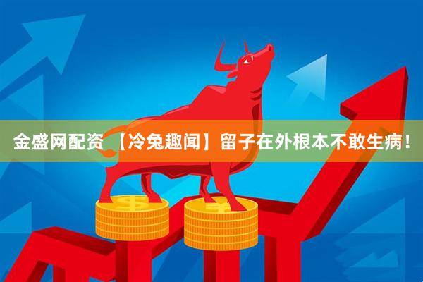金盛网配资 【冷兔趣闻】留子在外根本不敢生病！