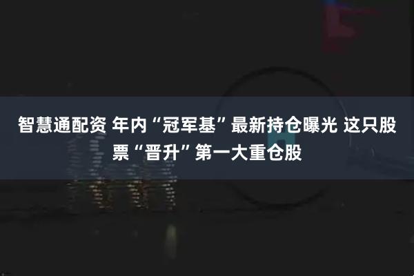 智慧通配资 年内“冠军基”最新持仓曝光 这只股票“晋升”第一大重仓股