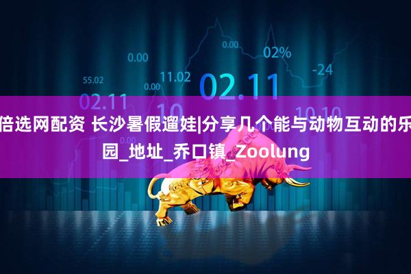 倍选网配资 长沙暑假遛娃|分享几个能与动物互动的乐园_地址_乔口镇_Zoolung