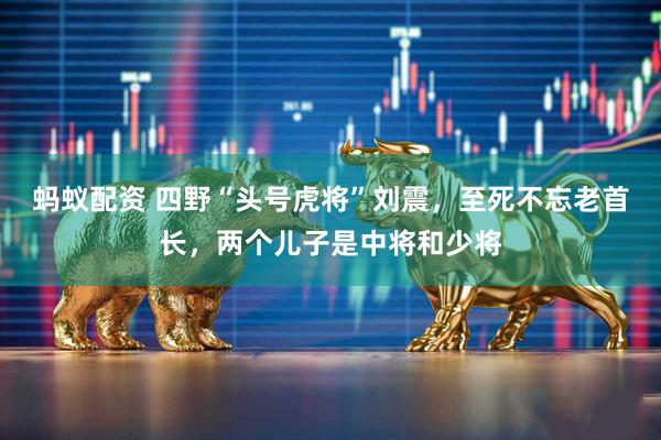 蚂蚁配资 四野“头号虎将”刘震，至死不忘老首长，两个儿子是中将和少将