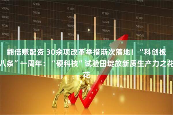 翻倍赚配资 30余项改革举措渐次落地！“科创板八条”一周年：“硬科技”试验田绽放新质生产力之花