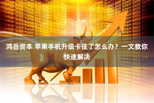 鸿岳资本 苹果手机升级卡住了怎么办？一文教你快速解决